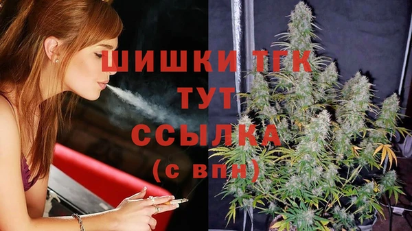 дмт Елизово
