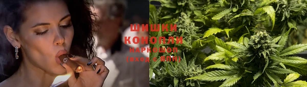 дмт Елабуга