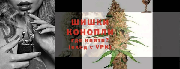 дмт Елизово