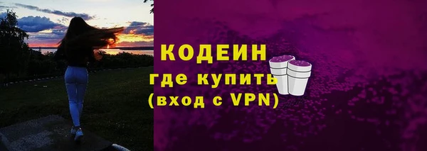 дмт Елизово