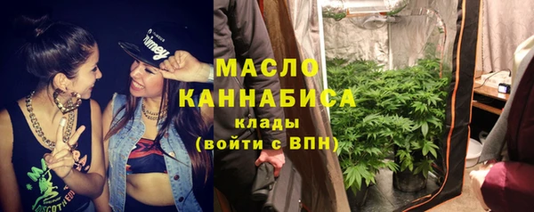 дмт Елизово