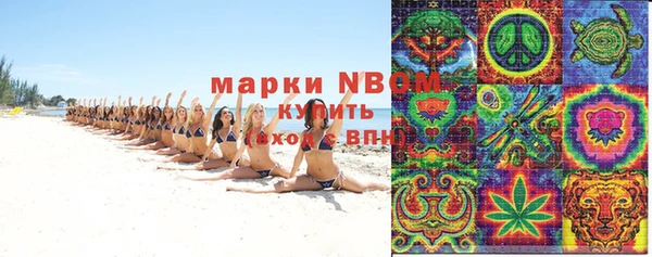 дмт Елизово