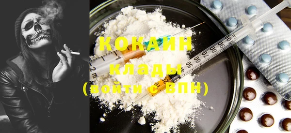 дмт Елизово