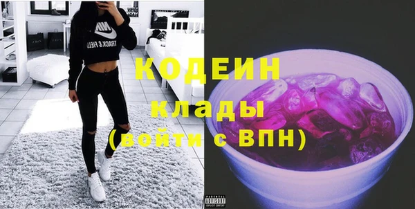 дмт Елизово