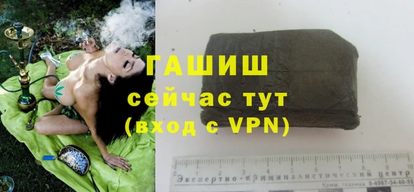 дмт Елабуга