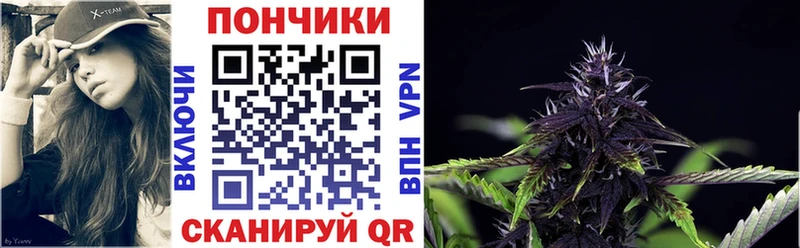 Шишки марихуана сатива  Сочи 
